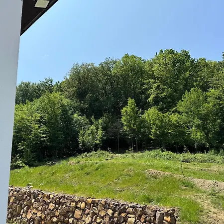 公寓式酒店 Park House Aparts *